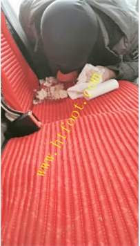 TL34486 微普】训狗清理109分钟