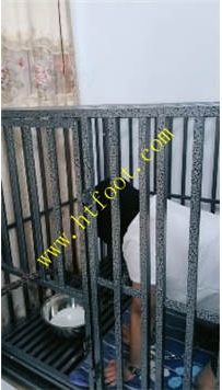 TL40160 爵恋霸主】在劫难逃45分钟【画质不太好】