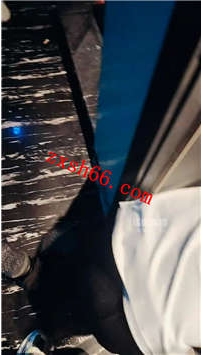 TLZB25730冷酷-KTV玩狗不当人看20分