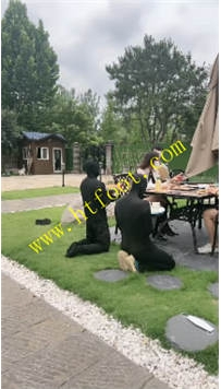 TL38179 沅芷】狗狗的正确使用方式52分钟