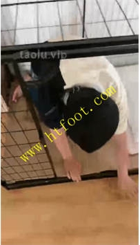 TL37264 猫咪】双博士真实圈养107分钟