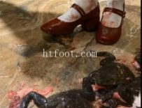 AC3480 柔柔白丝红色小皮鞋牛蛙乌龟