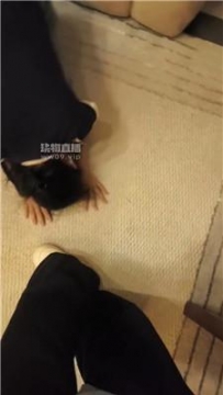 【调教视频】【爱可】调骚母狗舔鞋底/闻舔原味吧 bf55434