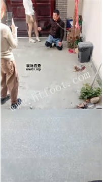 ZB4499 鸿运】遛狗专场47分钟