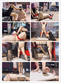 【绝美红焱女神】新年首发 最新山丹丹开花红炎炎