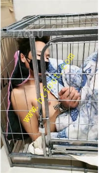 TL26852 超高能】狗狗光着屁股关笼子63分钟