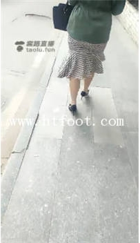 TL18173 都市艳主S公交车上刺激逗狗58分钟