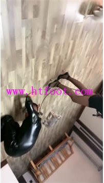 TL28241 月影儿】播T45分钟