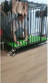 NNTL45975 凌儿女神】母g.SP打出猪叫声42分钟