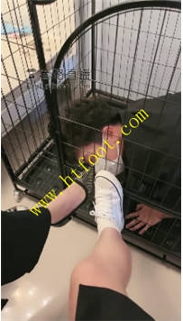 TL32292 安静】四主调教小帅G59分钟