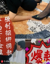 TL448 普西HOME 女主强制捆绑调教32分钟