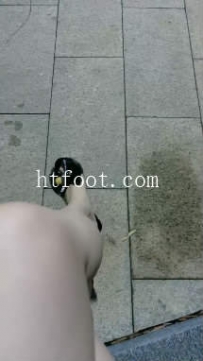 ZB8915 总攻大人】户外雨中遛狗61分钟