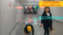 4355 北京安雅女王--超刺激公共场合-坐地铁遛狗