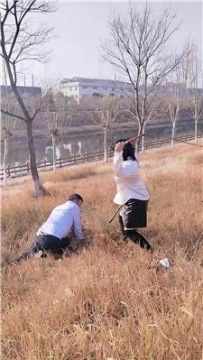 【调教视频】【刑狗】户外遛狗场 JS260110-2