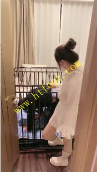 TL36747 cici】掰弯男闺蜜41分钟