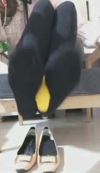 TL4970 若依S 黑丝脚控