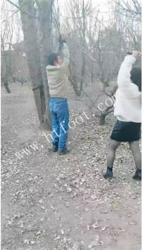 ZB1494 沐颜】吊树上数据线抽打41分钟