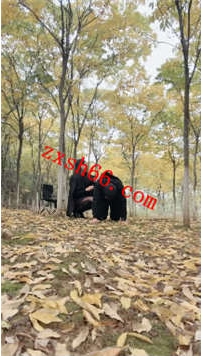 TLZB26374爱丽丝-户外马奴专场骑脖子四脚马22分