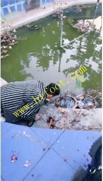 TL41015 宸宸】清理庄园31分钟