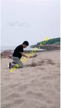 TL37286 宸宸】嘬嘬33分钟