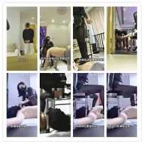 杭州秋大大 新狗赏赐60分