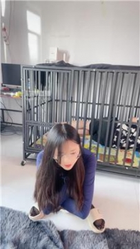 【调教视频】【鹿S】囚禁狗笼羞辱虐 JS250706-1