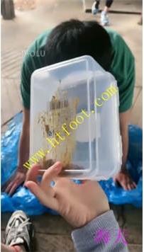 TL29693 桃欣】景区现蜡黄金圣水16分钟
