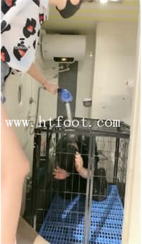 TL15281 美离子S犯错了就冲52分钟