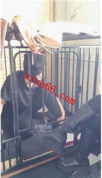 TLZB25693 77夫妻2-圈养狗发骚了49分