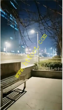 TL26172 羽诺】户外爆虐贱狗18分钟