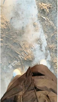 ZB1710 梦露】户外讯31分钟