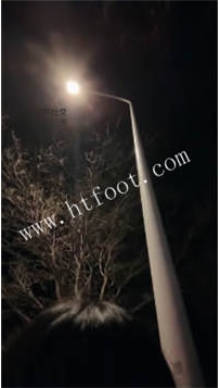 ZB2748 大小姐】户外遛狗36分钟