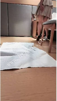 TL48383 小雪】酒店舔狗35分钟