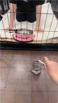 【调教视频】【佳禾】圈养狗笼-狗盆喂食-赏赐洗澡水 JS250325-37