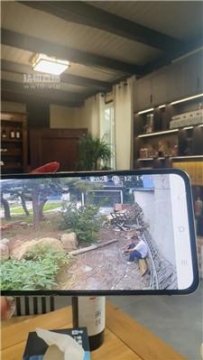 【调教视频】【沅芷大人】监督圈养奴伺候 JS250812-26