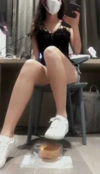 TL6667 若依S 第一视角