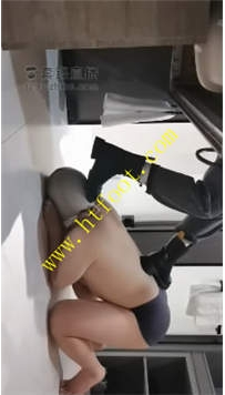 TL26420 welldoer】好久不见狗狗们41分钟