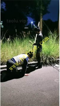 TL40271 幽魅】户外溜达30分钟