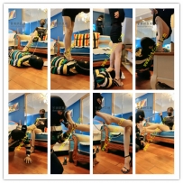 暴力美学高跟凉鞋踩踏舌头裸足提档汗脚深喉舔脚鞋跟爆菊