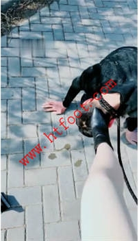 TL18578 魅影S户外大白天靴子喂食70分钟
