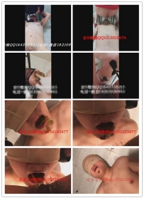 【彩丝全国首发】【宁波邀月S】定制 超强黄金大马桶