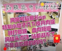 TL20623 奈奈S狠毒专场23分钟
