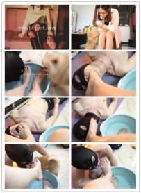 【黑丝诱惑】男奴和狗狗抢着喝沐沐女主的原味洗脚水