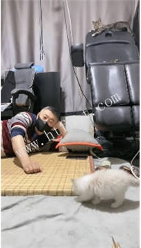 TL47034 冰诺S】高跟踩踏41分钟