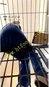 TL21607 芷晴】情景剧哥哥你是条狗95分钟