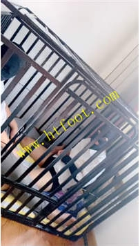 TL39177 慕田】还有人不喜欢这个25分钟