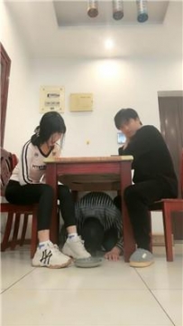 【调教视频】【思迁情侣】桌底视角-伺候情侣主 bf50271