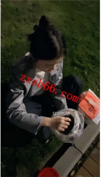 TLZB26172南烟-户外女奴完食手抓黄金边吃边呕48分