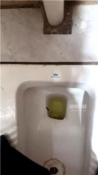 【调教视频】【77夫妻】踩了公厕的鞋让狗舔 JS251111-6