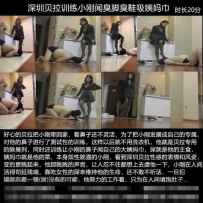 【彩丝全国首发】【合肥屿蓝S】全套调教小胖狗